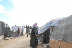 针对布衣的派”