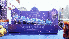 协同增加的新篇章